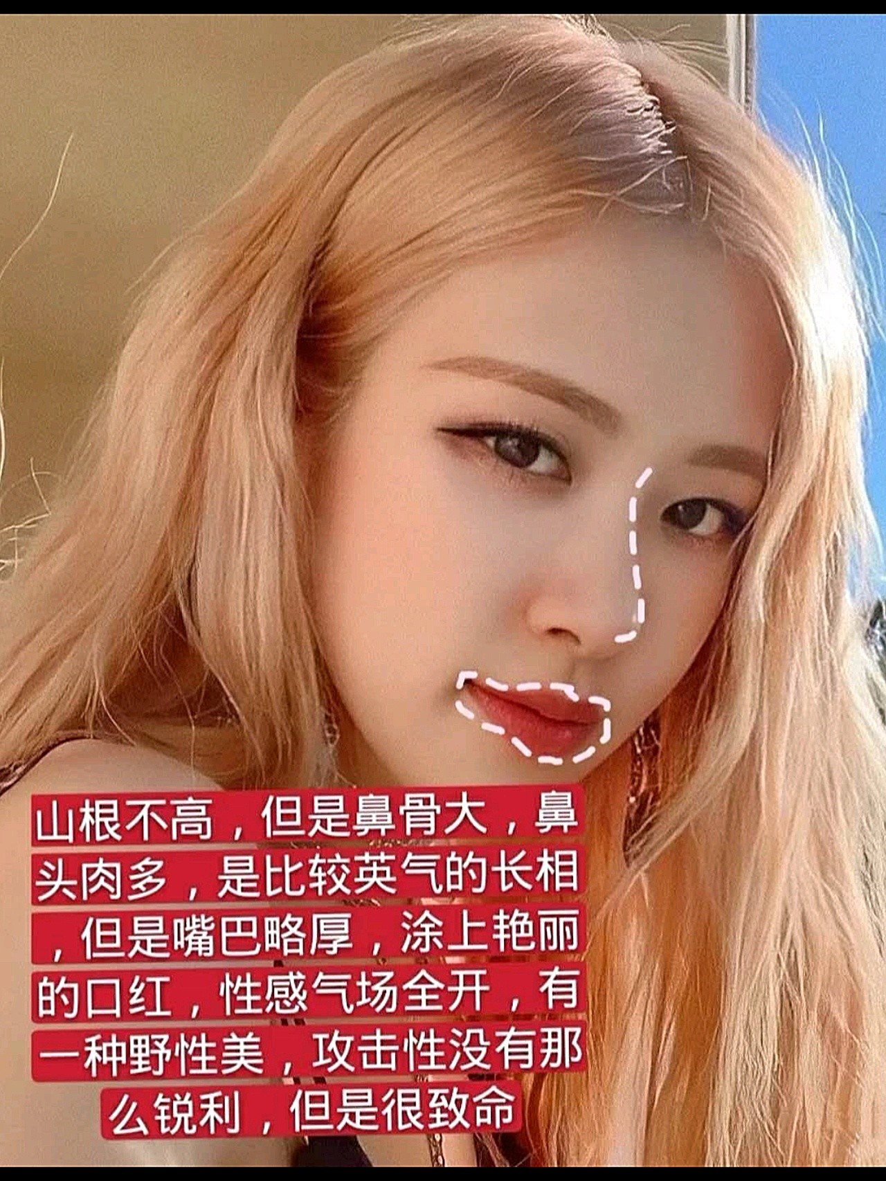 朴彩英面部分析澳洲野玫瑰的美