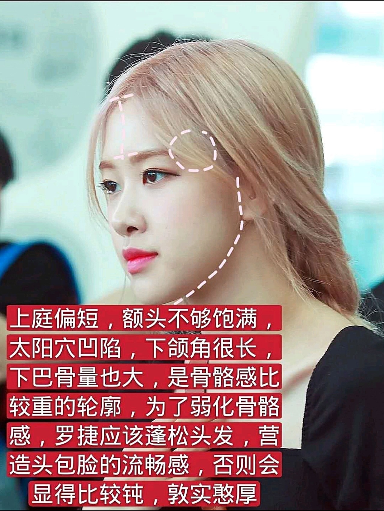 朴彩英面部分析澳洲野玫瑰的美