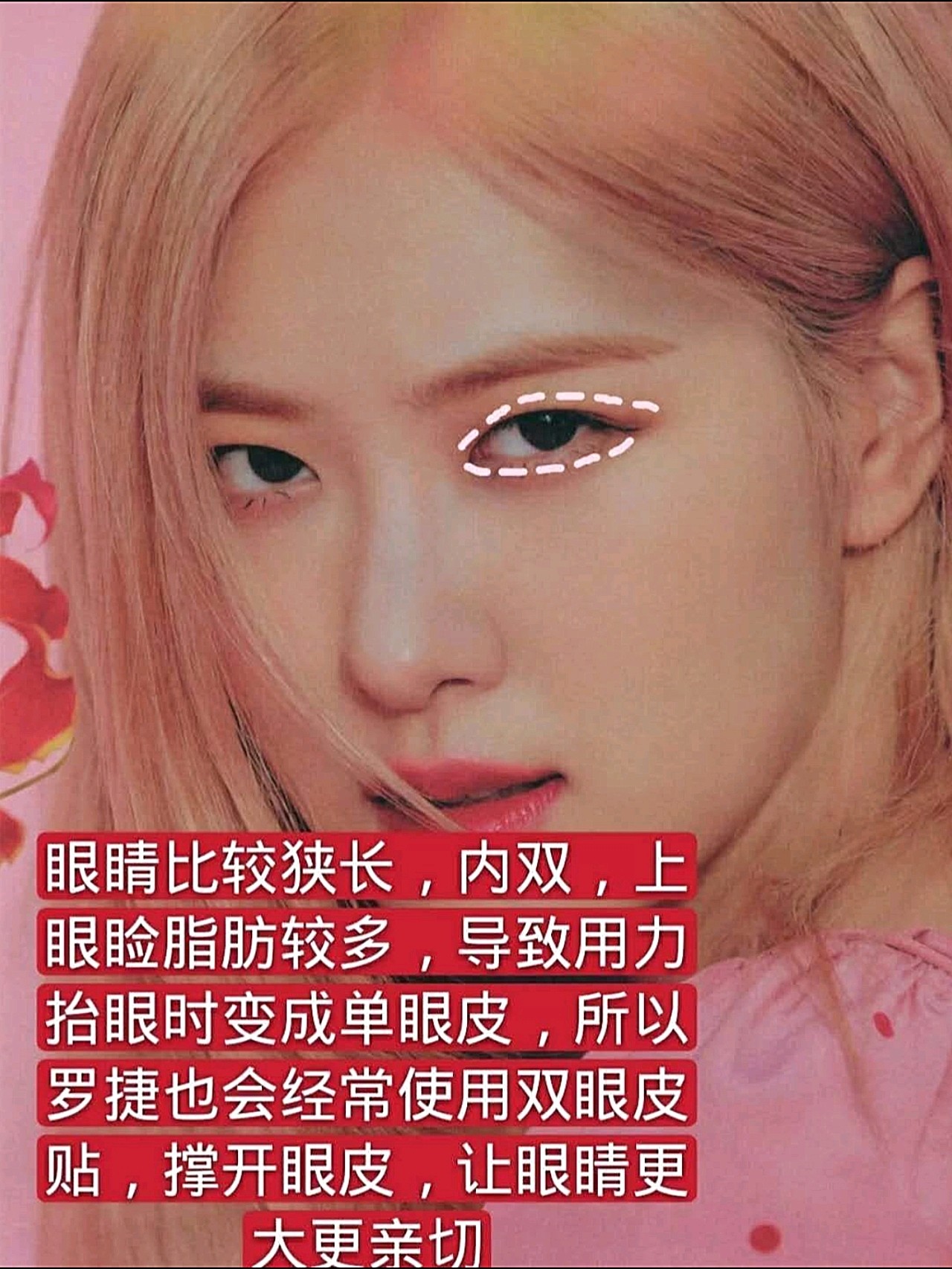 朴彩英面部分析澳洲野玫瑰的美