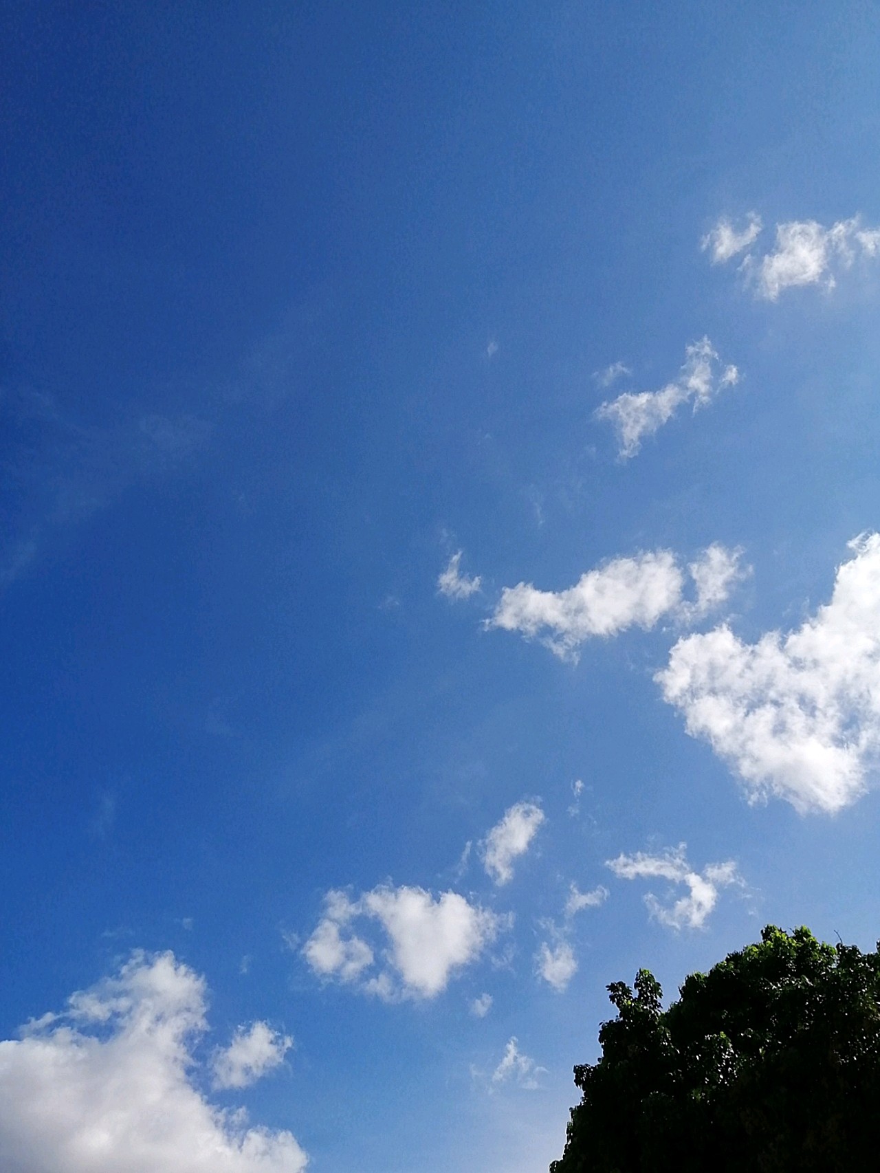 今天天气真好啊,蓝天白云,晴空万里.