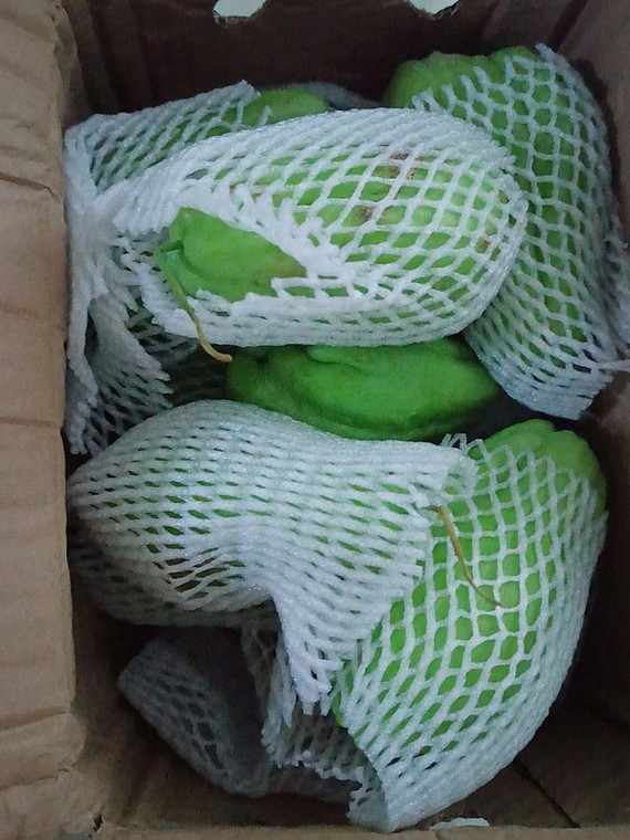 人人都是美食家买的蔬菜,打算清炒佛手瓜