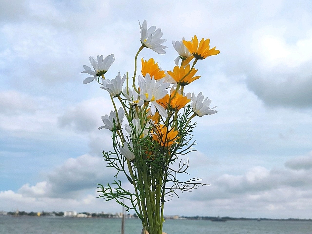 你的美物日记买一小束花,作平淡生活里的小确幸.