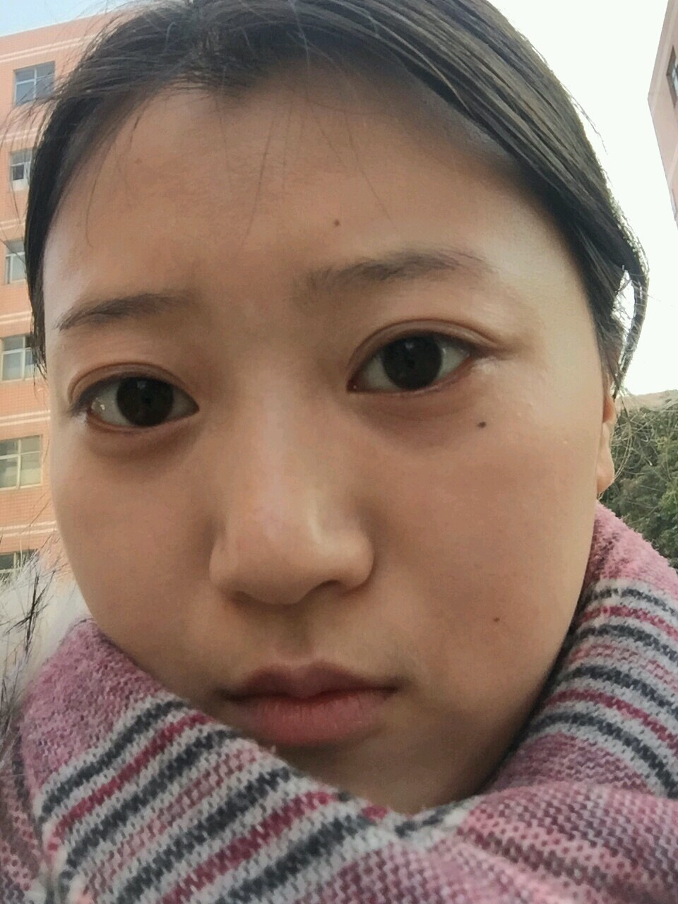 鼻头圆钝,鼻翼宽大,山根平坦