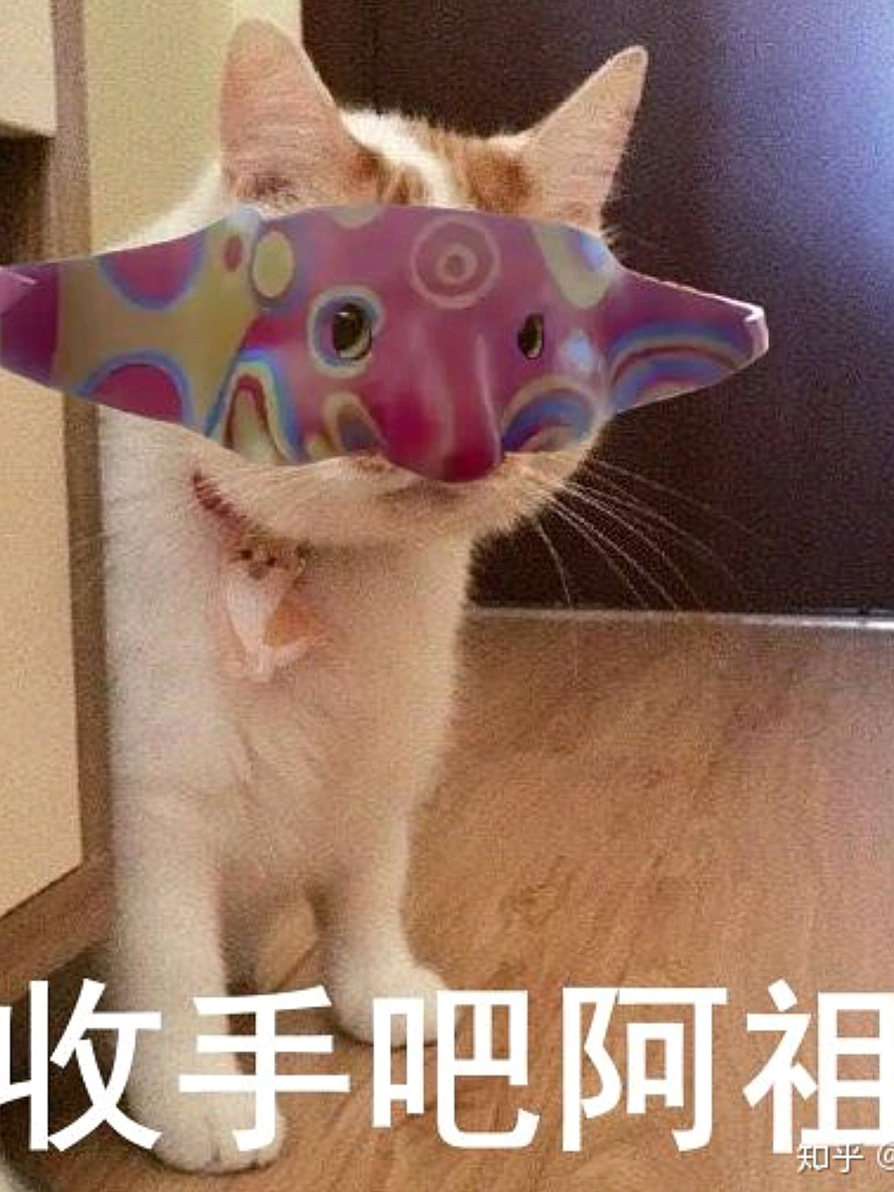 进去之后上二楼的口腔科,口腔科这边人还挺多的,因为预约的阿祖面具猫