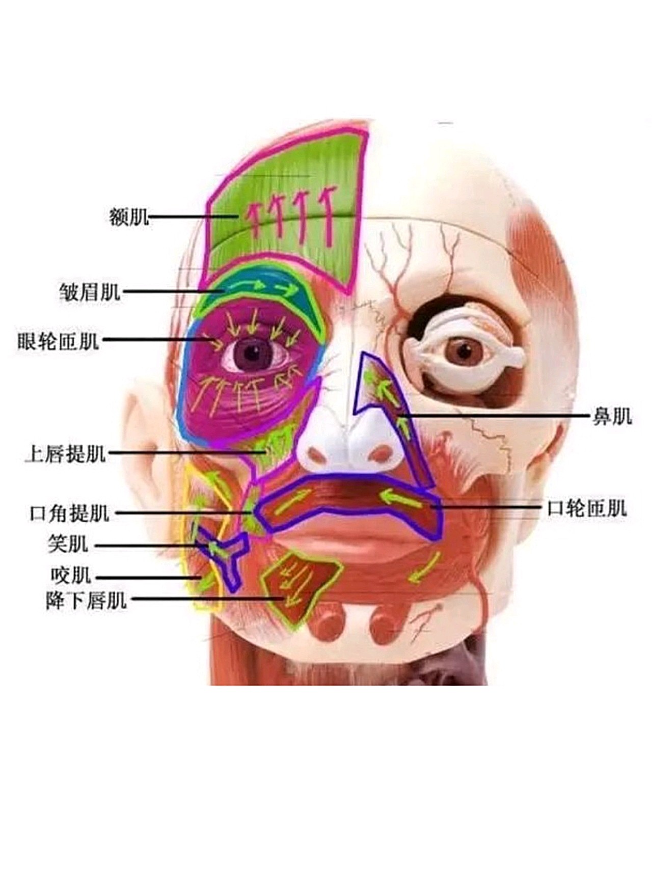 为什么网红明明很好看,可直播时总是让人差强人意