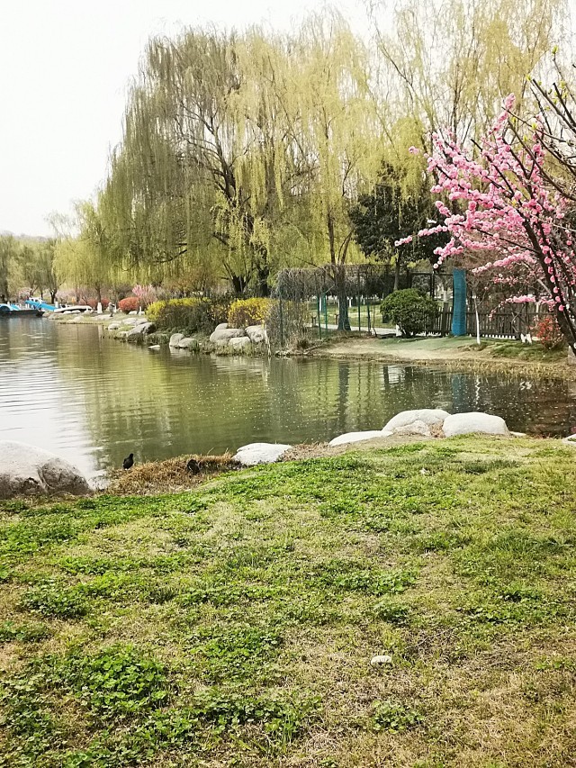 春天公园景色描写图片