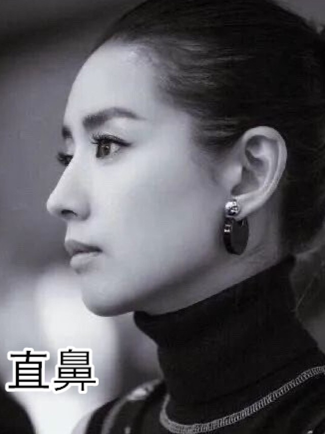 说到鼻子,总有一些其它五官比较普通,全靠鼻子加分的小美女让人羡慕不