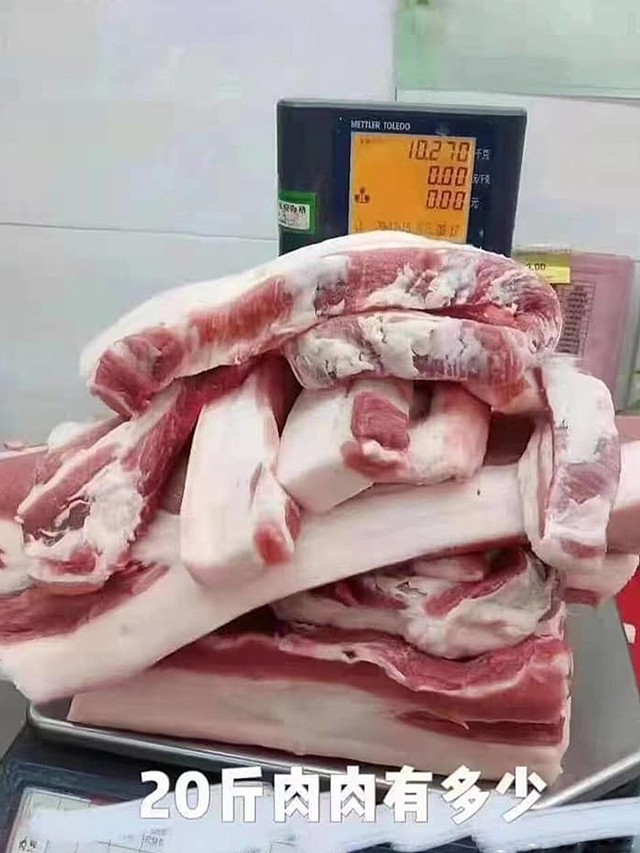 20斤肉有多大实体图图片
