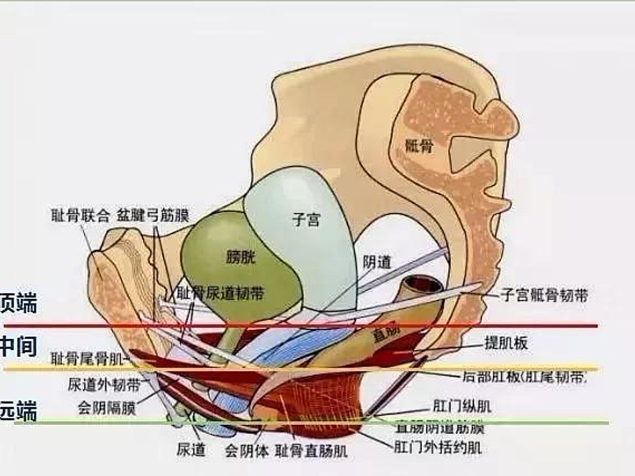 私密人体下面图片