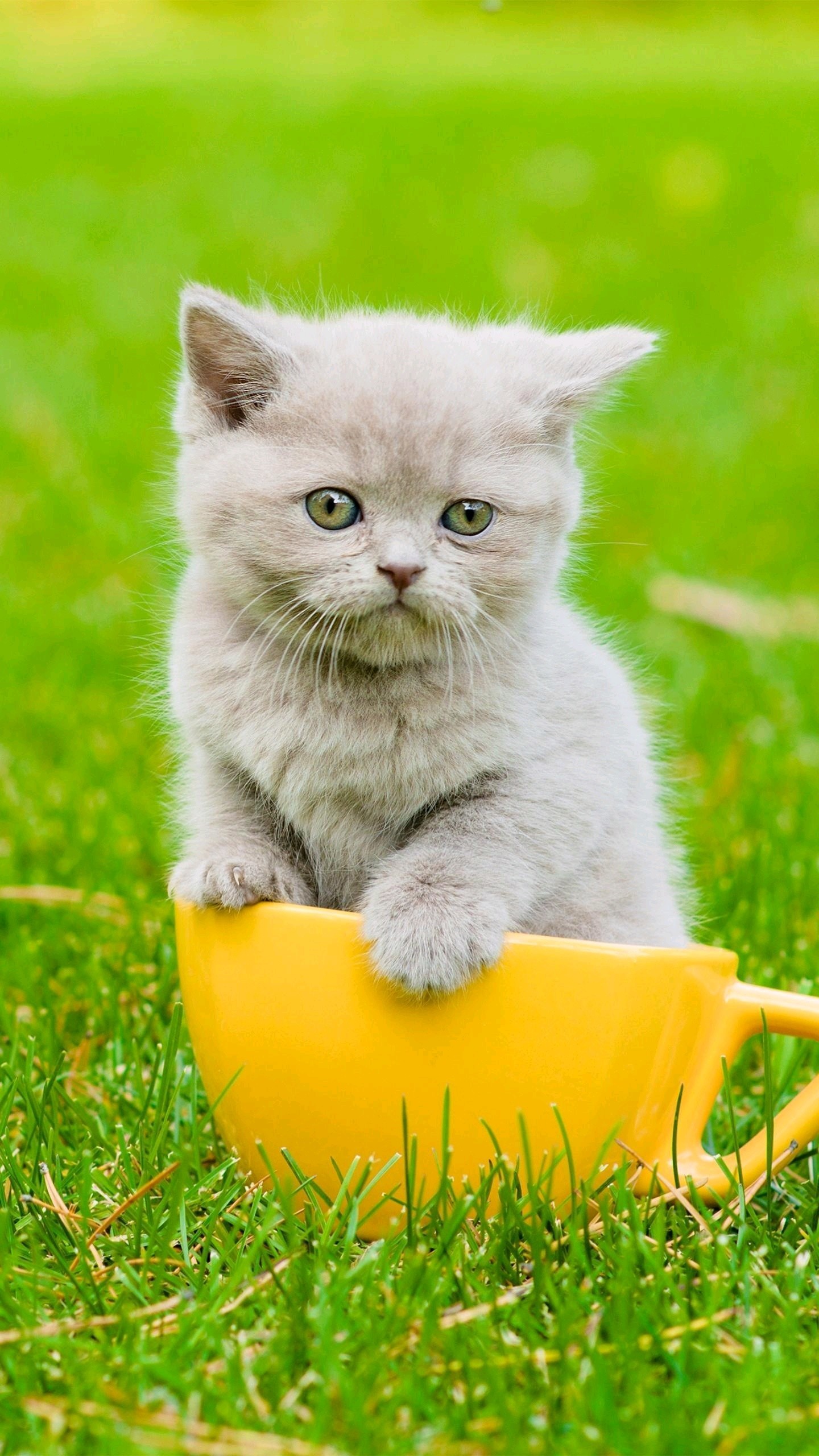 一个好的牙医就跟真爱一样,找到了合适的,无论他