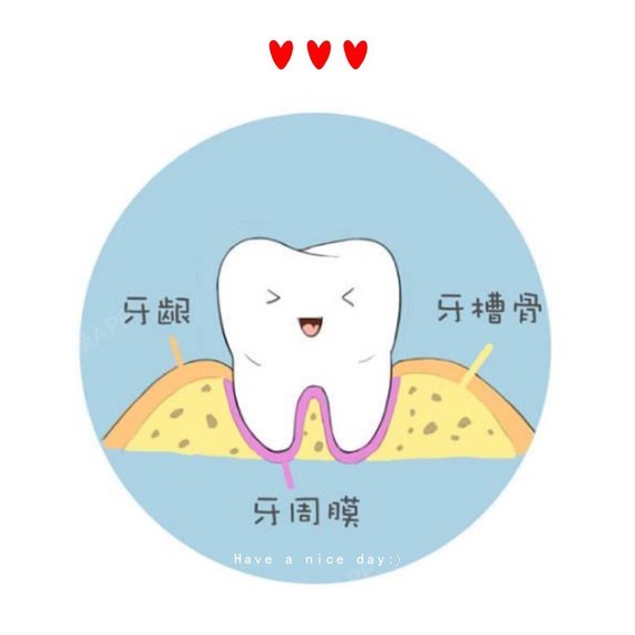 牙齒健康的4個小秘密