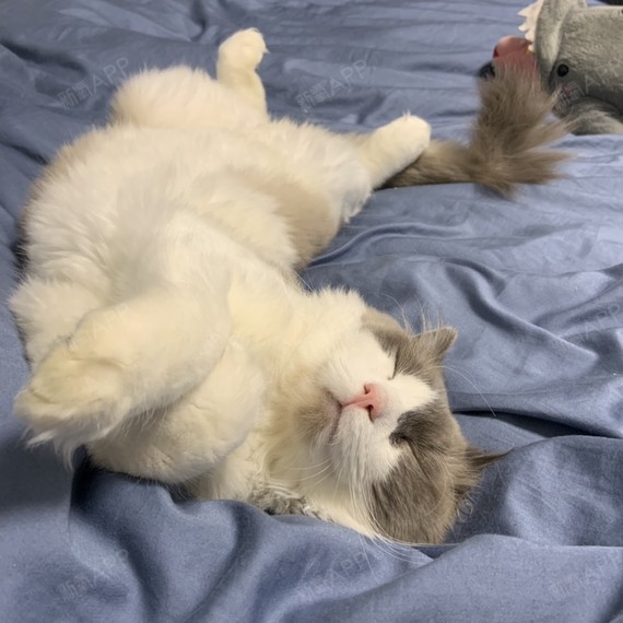 红蓝光祛痘好不好_效果图_陆筱鹿红蓝光祛痘术后第684天_新氧美容整形