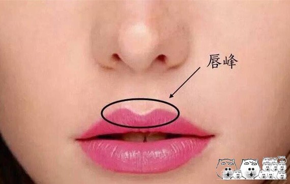 唇峰#是什么?