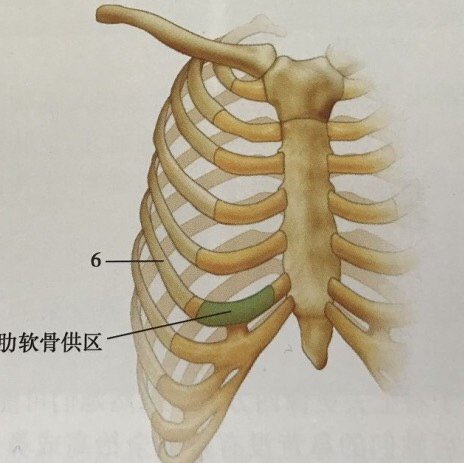 取肋软骨隆鼻后会影响健康?