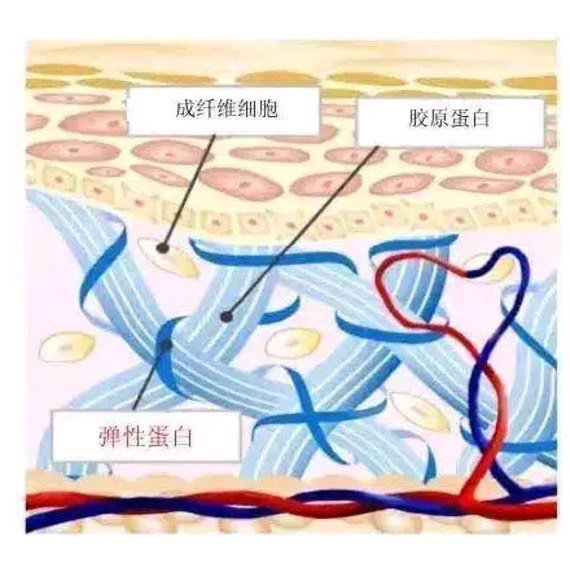 貼了多年雙眼皮貼,變成了多眼皮,眼窩凹陷.怎麼辦