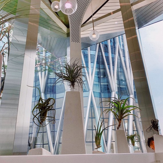 风靡纽约的lady m终于来到深圳啦