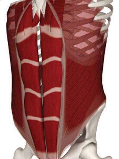 97最近在抖音和微博很火的一个话题就是很多女生