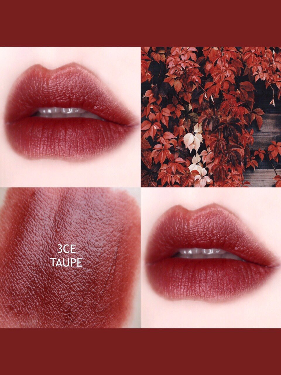 3ce这个显白又显气色的砖红色太高级了