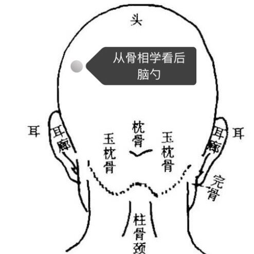 【韩国后脑勺填充居然用水泥,走路会不会失衡,脑袋后仰】