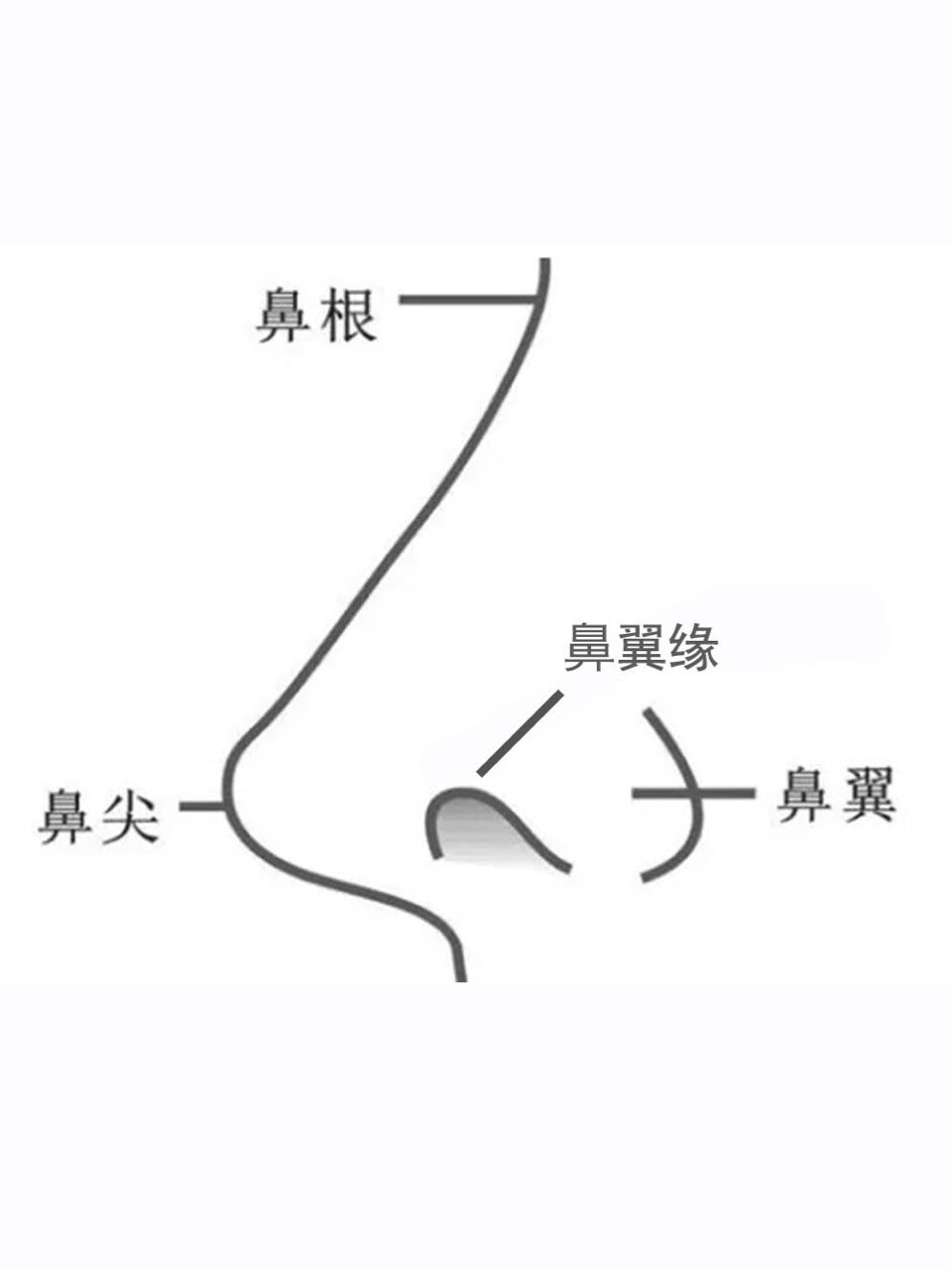 小科普丨鼻翼缘挛缩该怎么改善