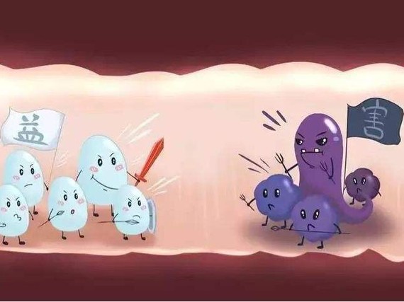 减肥产品哪个效果最好?其中奥秘,你知道多少?