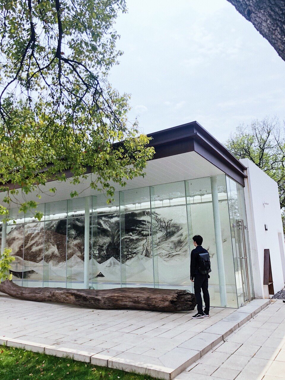 东湖·杉美术馆|藏匿于闹市的世外桃源