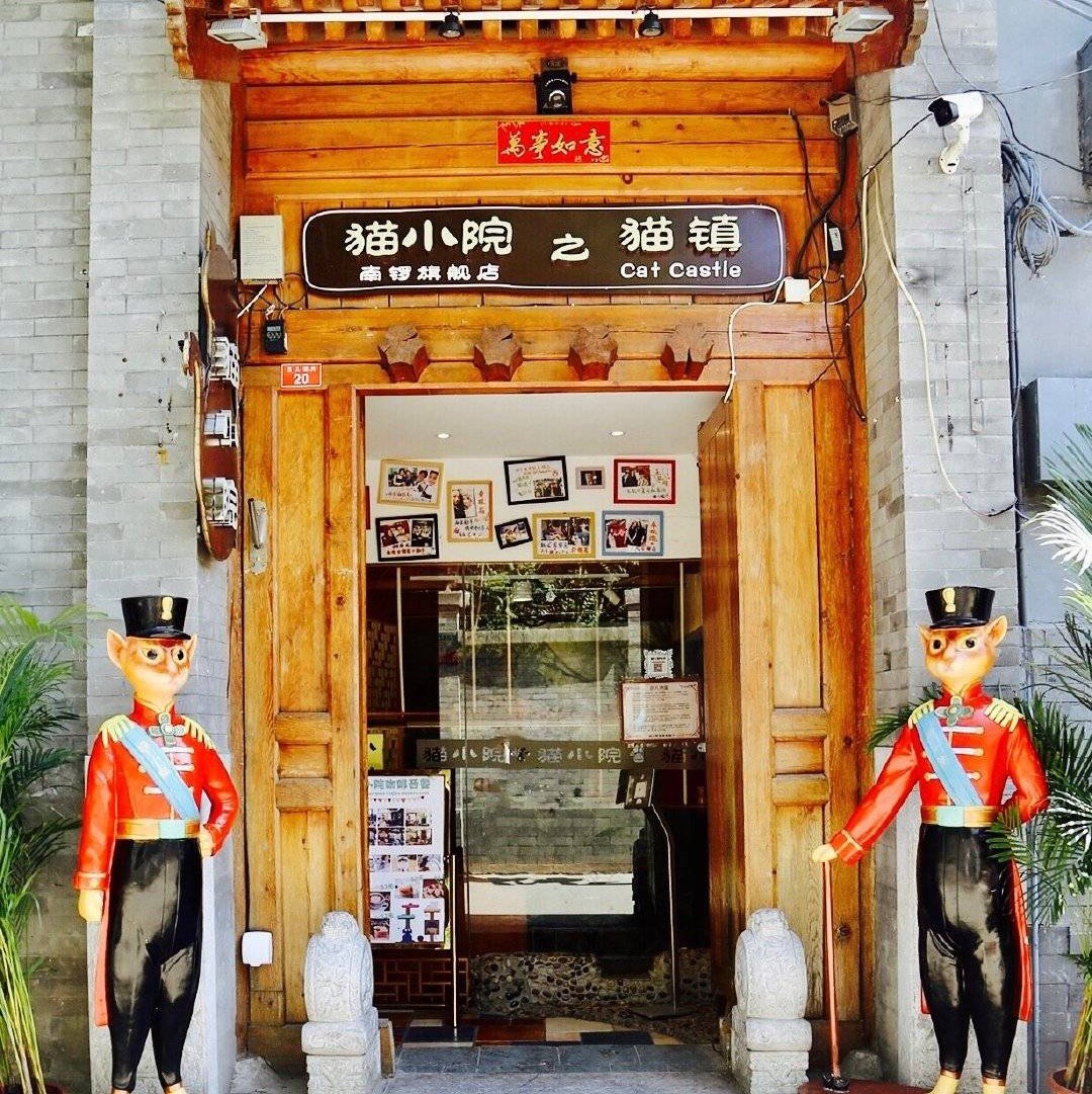 北京·帝都探店·穿搭|网红店|猫小院猫主题餐厅(南_圈子-新氧美容