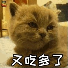 甘油三酯高怎么治疗?这些方法你见过吗?高甘