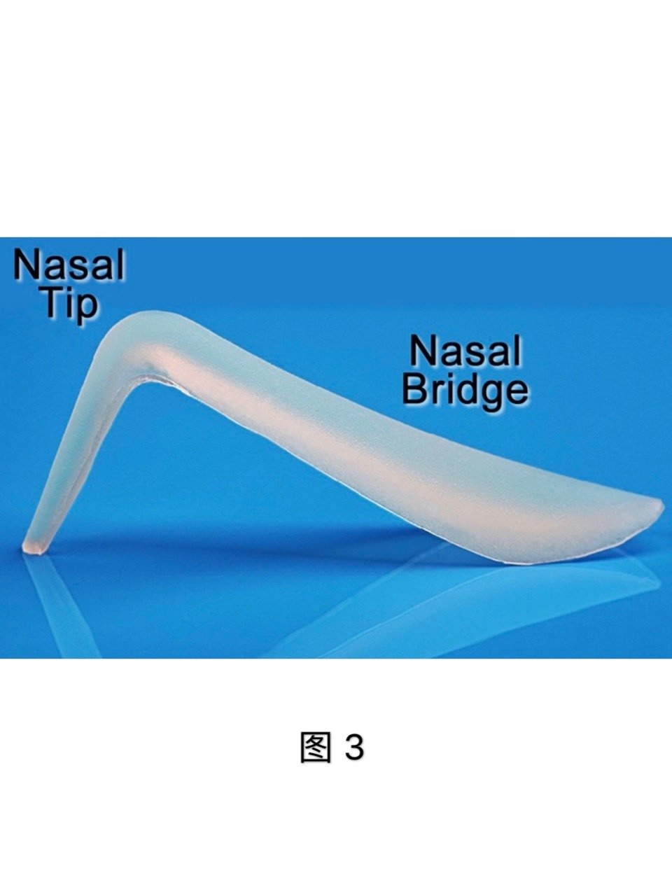 【整形史上的鼻假体】