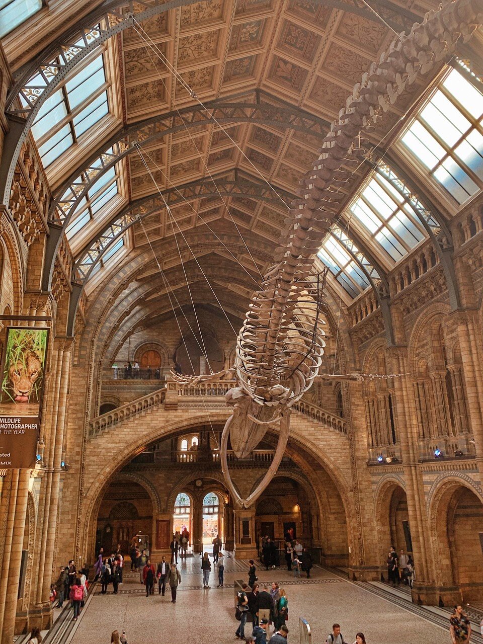 英国自然历史博物馆(natural history museum)