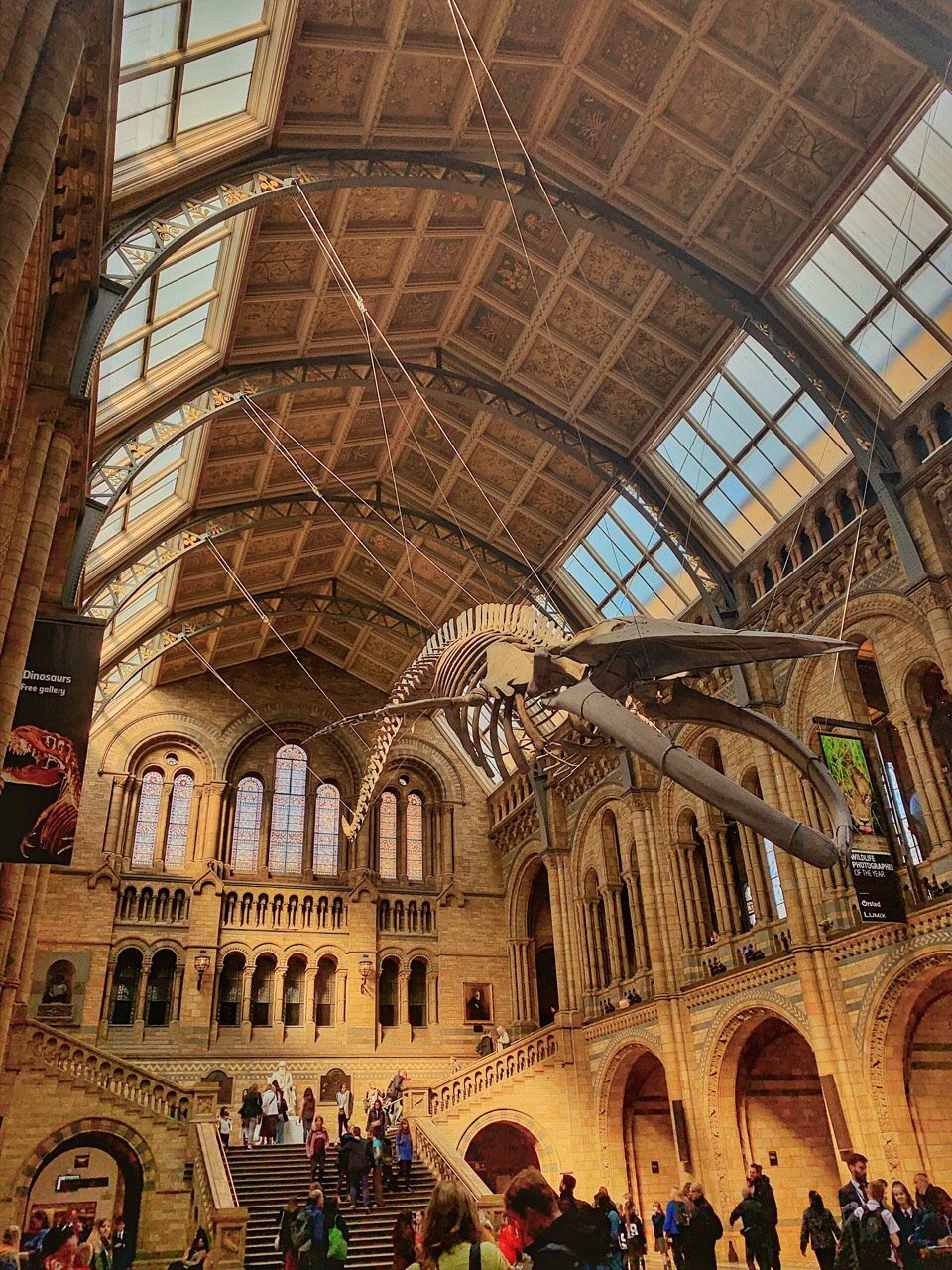 英国自然历史博物馆(natural history museum)