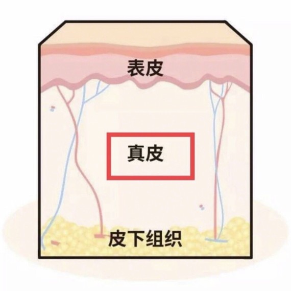 硬核科普·中胚層療法# #菲洛嘉青春動能素