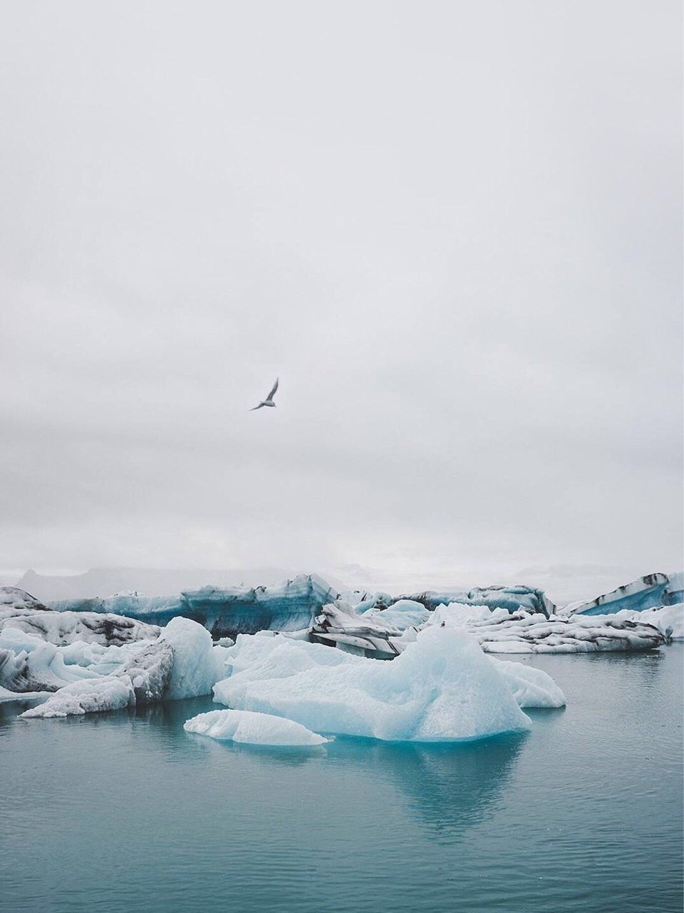 引自新氧美学院 提到冷色调的洁白,脑中浮现的第一个画面便是cozy