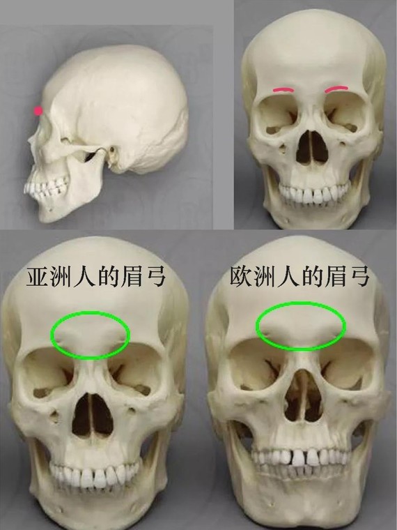 好看的眉弓絕不千篇一律,可甜可鹽才是辨識度