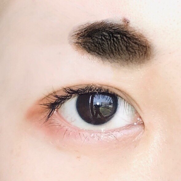 day7:99桂叶眉99最后一天打卡!