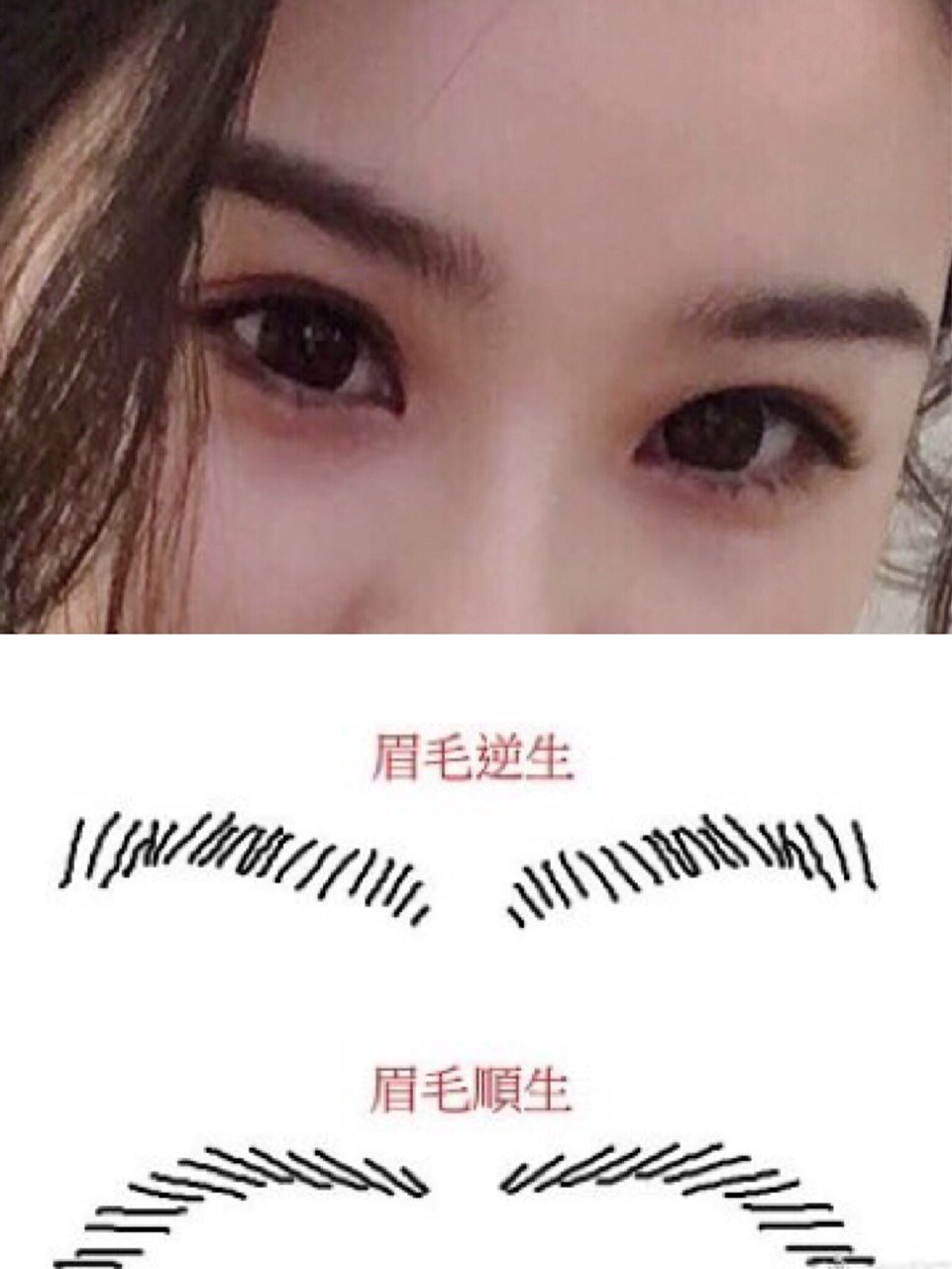 光亭相面| 印堂开阔有逆眉的女生普遍都是女强人?