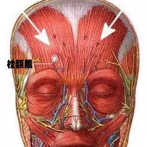 让人一秒心动的挑眉#高低眉该如何拯救