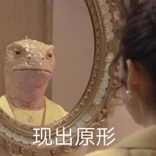 哈哈哈哈哈,是时候发出的表情包啦
