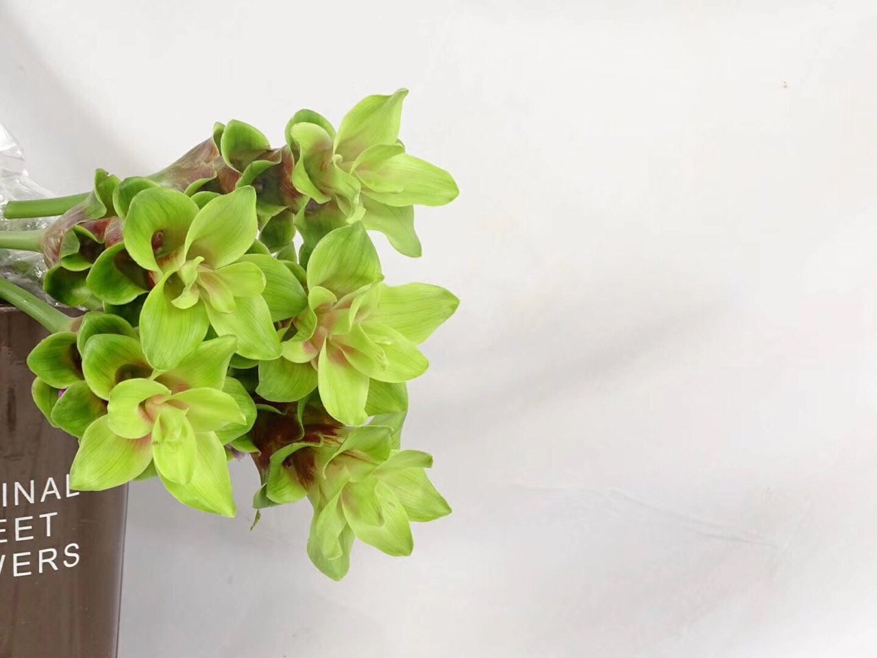 很喜欢的绿色的姜荷花,市面上很少见的一种绿色的话.