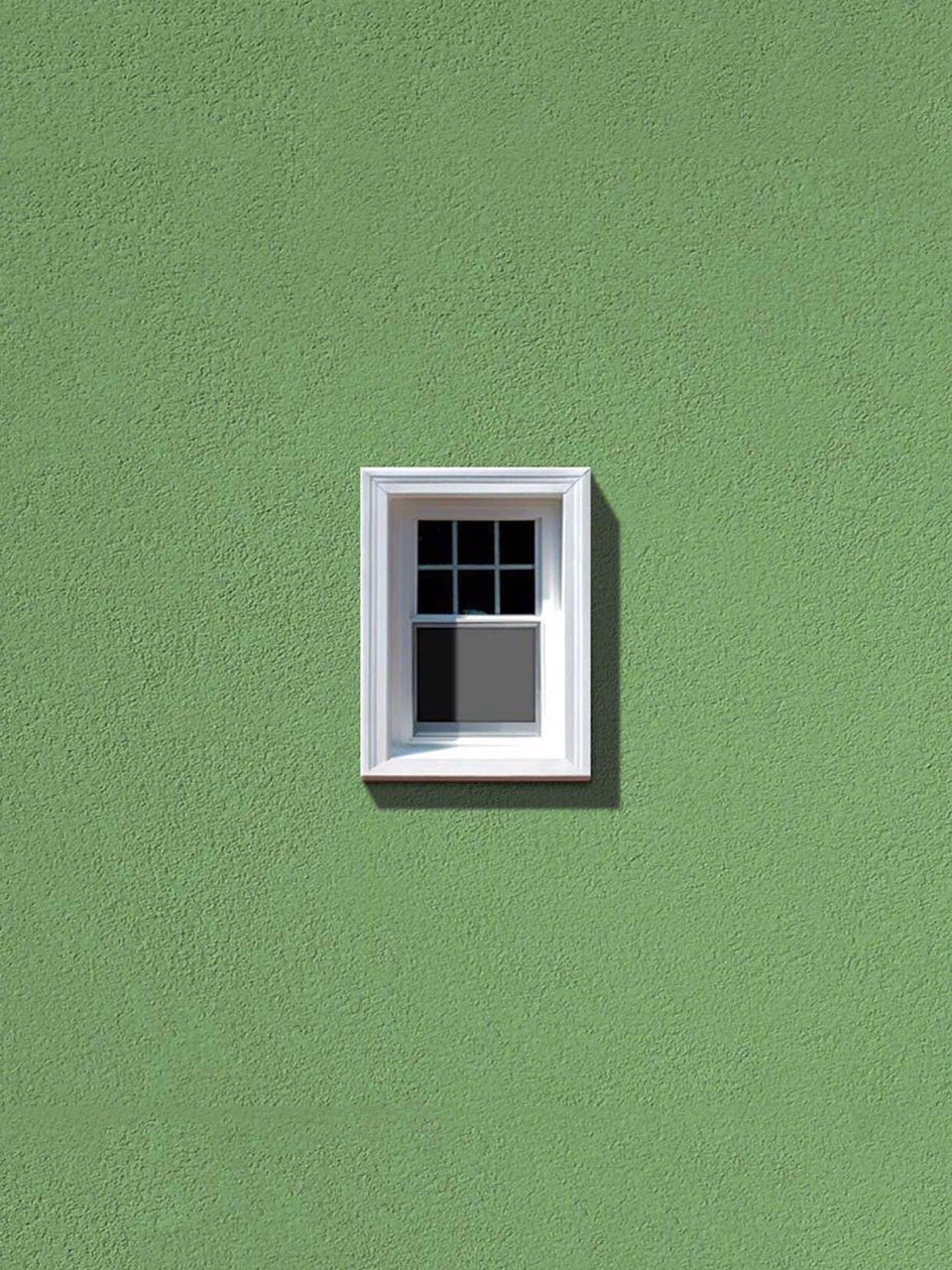 眼底的绿和极简的绿,绿色富有层次,暗含深意._圈子-新氧美容整形