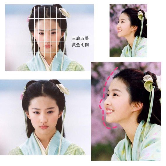 都说女星中刘亦菲骨相最好 那骨相好的 新氧美容整形