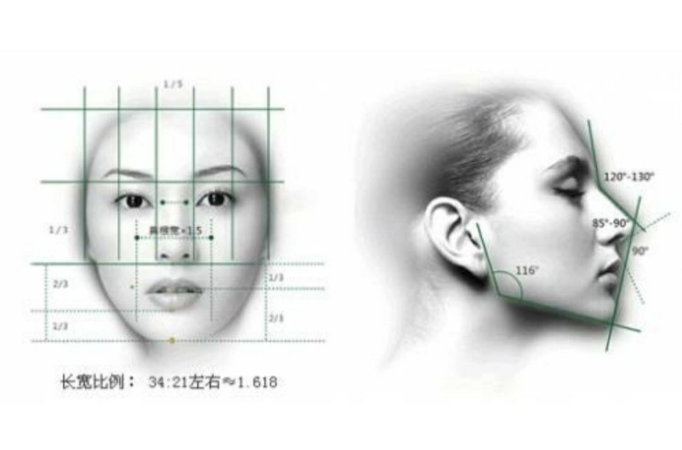 眼四高三低这是基础,正面侧面的落差和优势,头骨的骨骼分布骨亮的大小