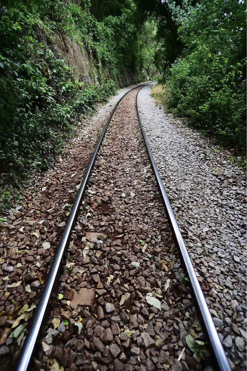 泰缅死亡铁路,一步一骷髅(3)