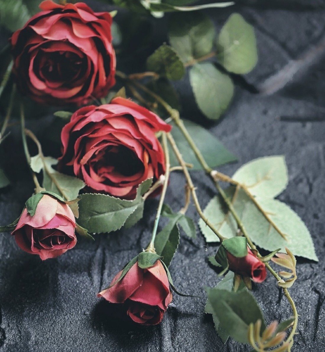 总觉得红玫瑰是热烈中带点冷艳的