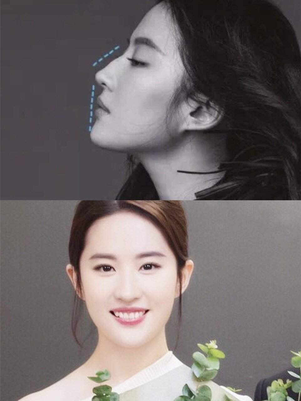 刘亦菲最大的优势就是颅顶高度优秀 头骨颞骨饱满(俗称头包脸) 面部