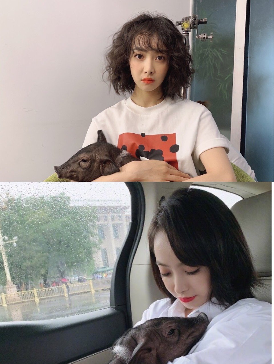 宋茜小姐姐的卷发造型真是让他年轻活力了20岁!