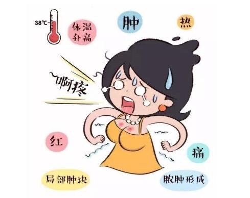 乳腺炎可以自愈吗,急性乳腺炎,急死了