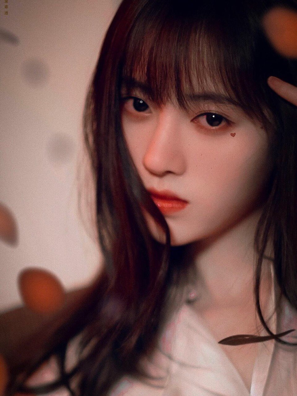 圆眼角vs尖眼角