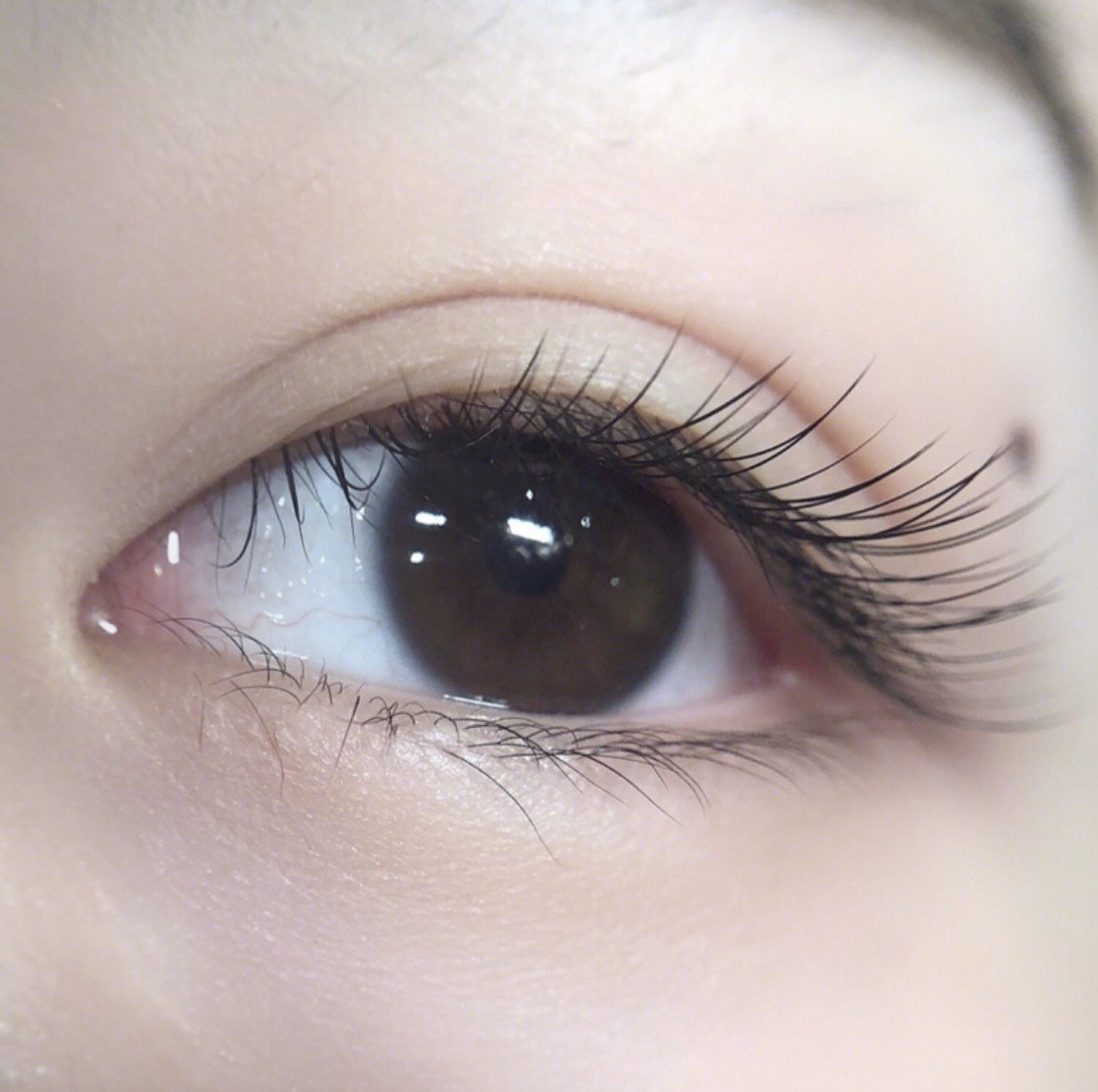 你了解种睫毛吗
