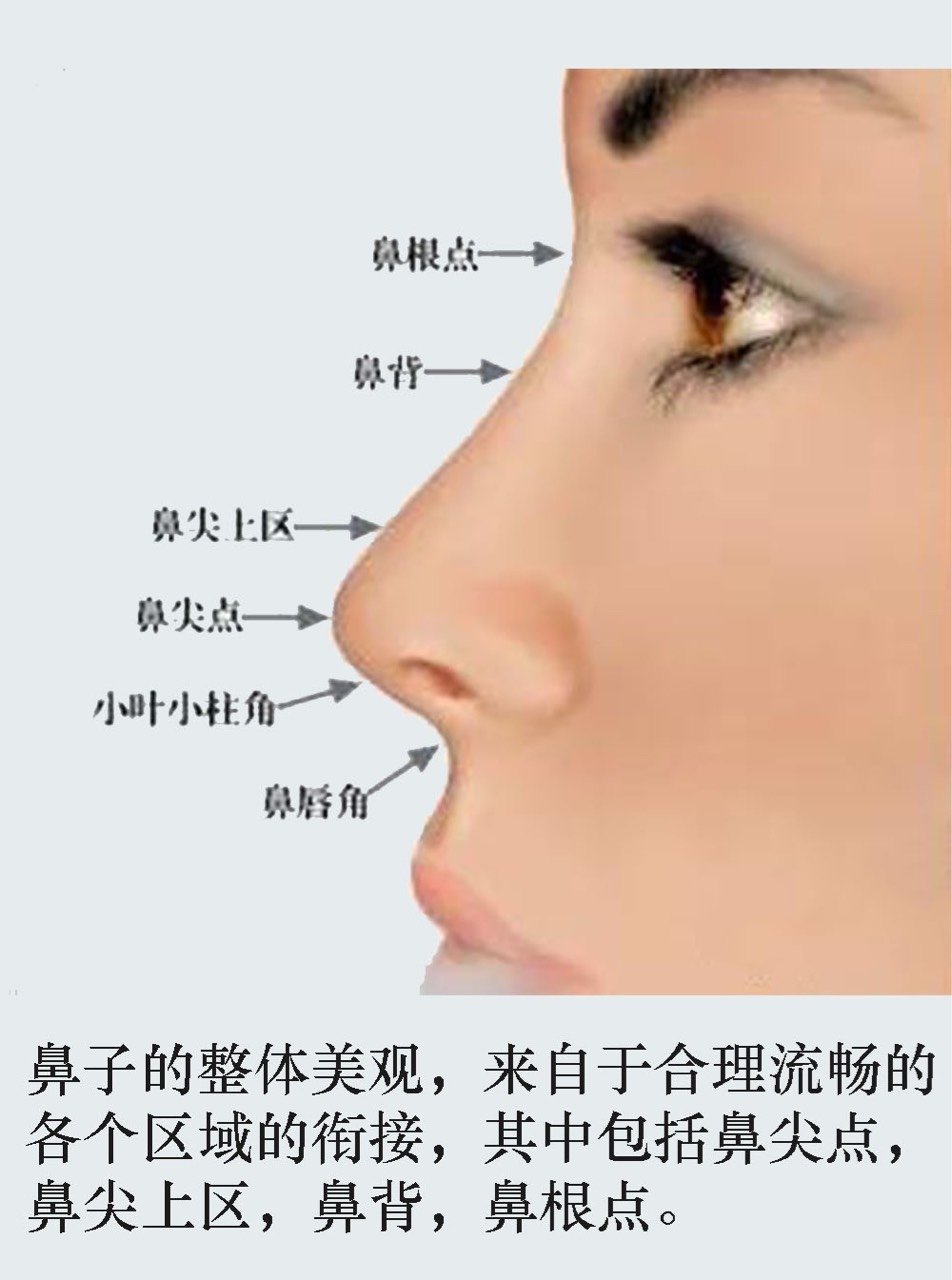 鼻尖表现点——鼻整形塑形的难点之一